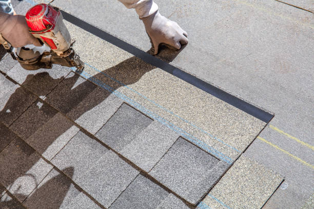 Best Roof Gutter Cleaning  in Sudan, TX
